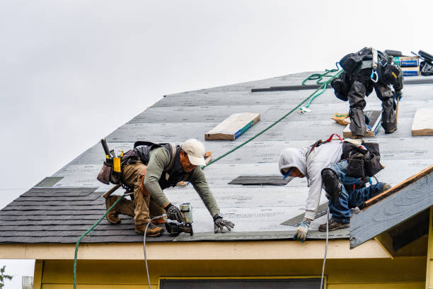 Professional Gutter Installation technician working in Eva, TN
